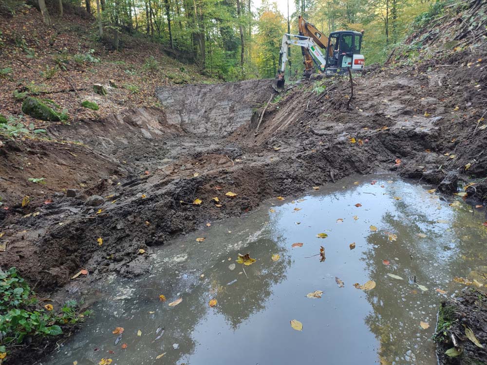 Das erste Biotop im Hemsbacher Wald entsteht